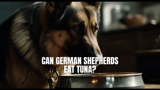 Can German Shepherds eat tuna?