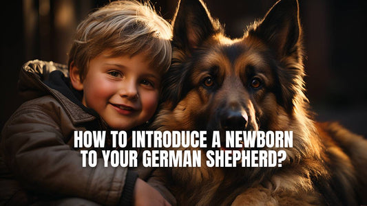 German Shepherd and newborn baby dressed in the cop uniform