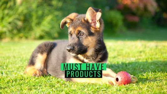 Must Have German Shepherd Products