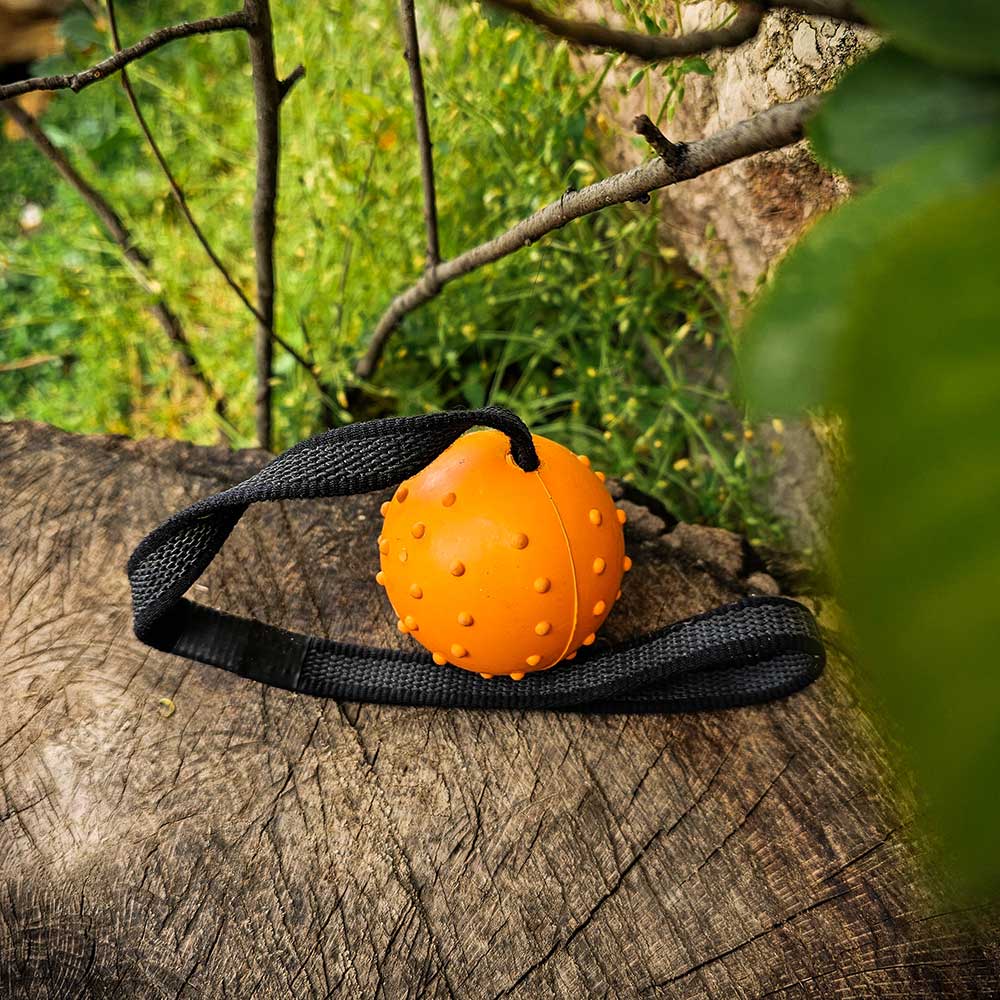 Ballbea® dog training ball on rope 4