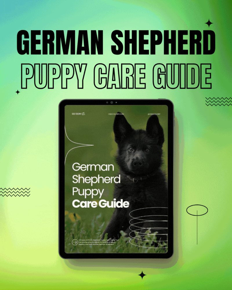 German Shepherd Books