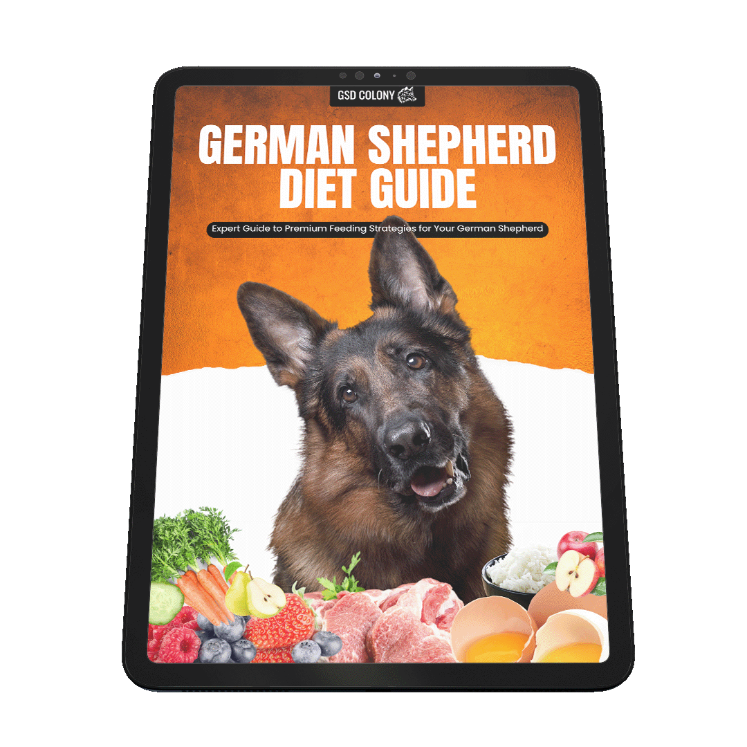 German Shepherd Diet Chart PDF Guide GSD Colony