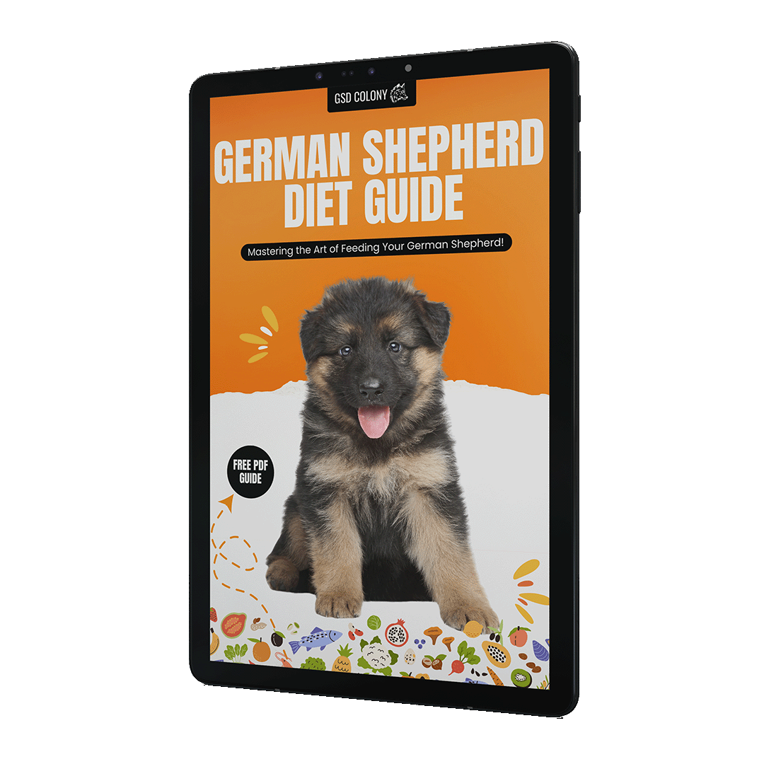 German Shepherd Diet Free PDF Guide Printable GSD Colony