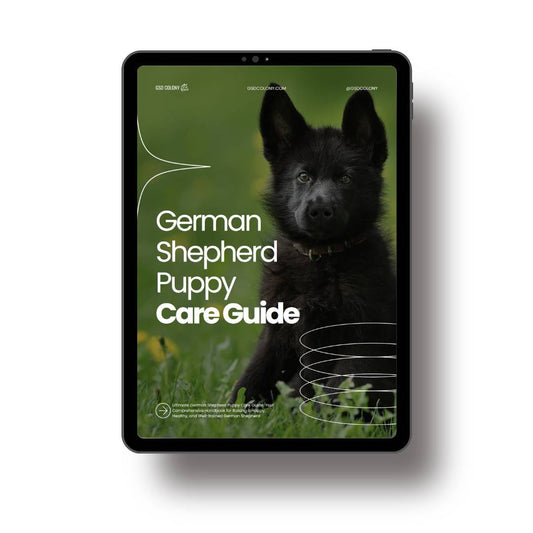 German Shepherd Puppy Care Guide PDF