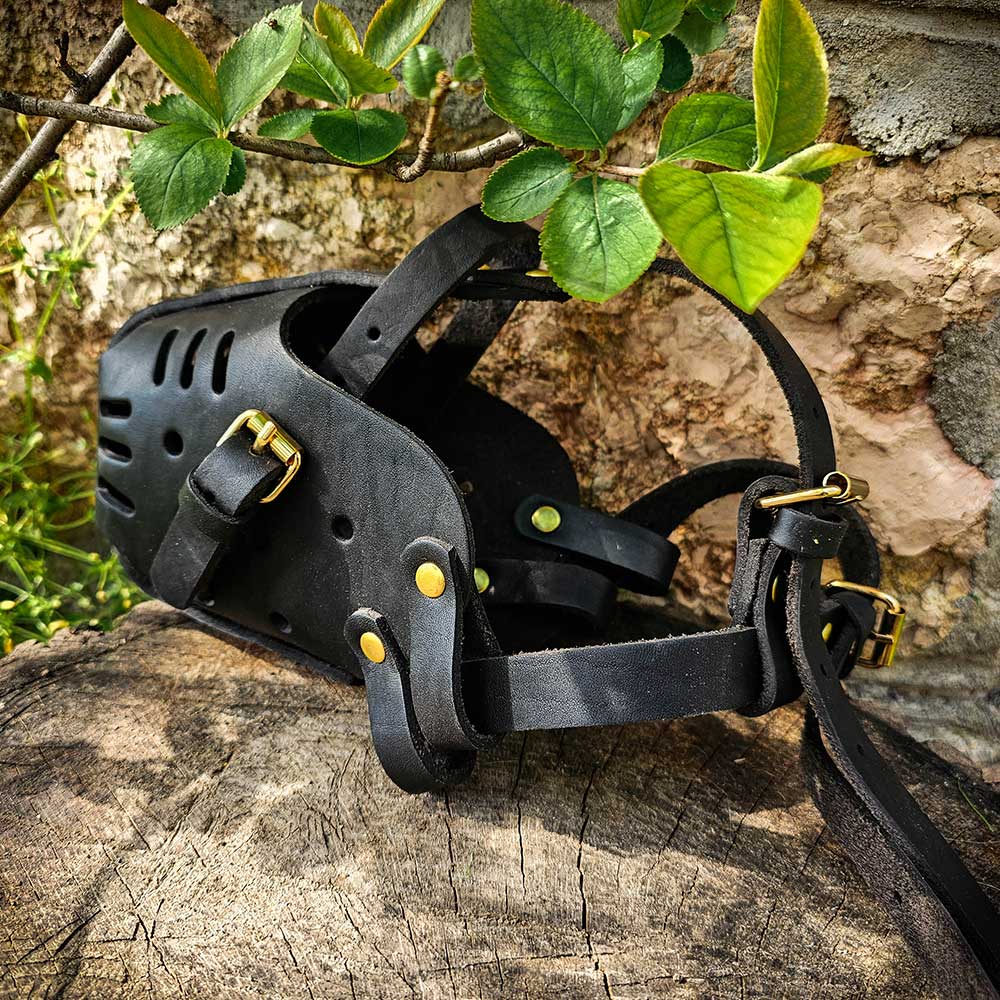 Leather tactical German Shepherd muzzle 3