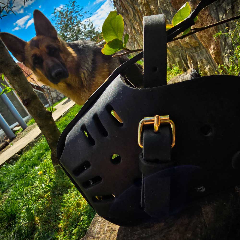 Leather tactical German Shepherd muzzle 4