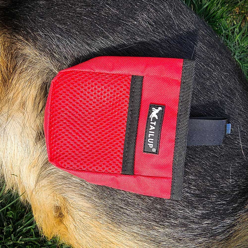 Professional German Shepherd training treat pouch 1