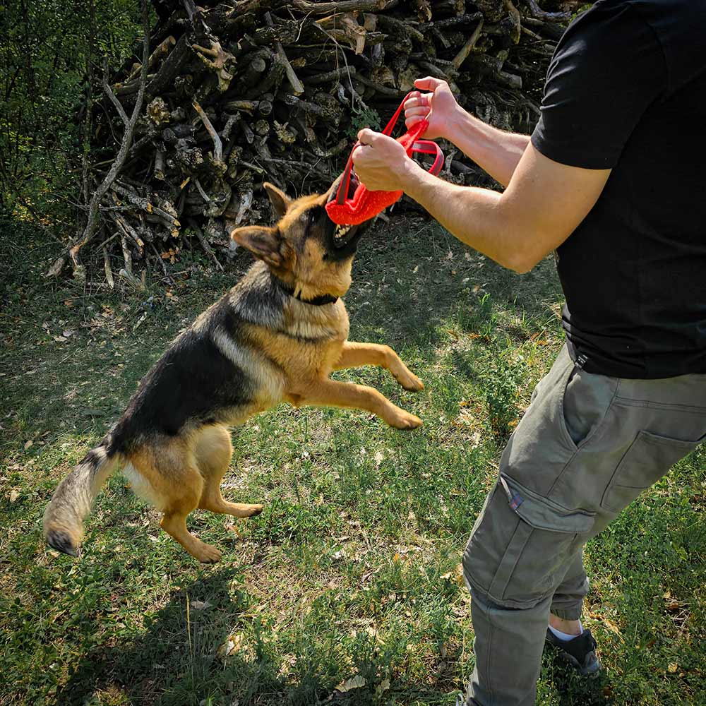 German Shepherd bite three handle jute pillow