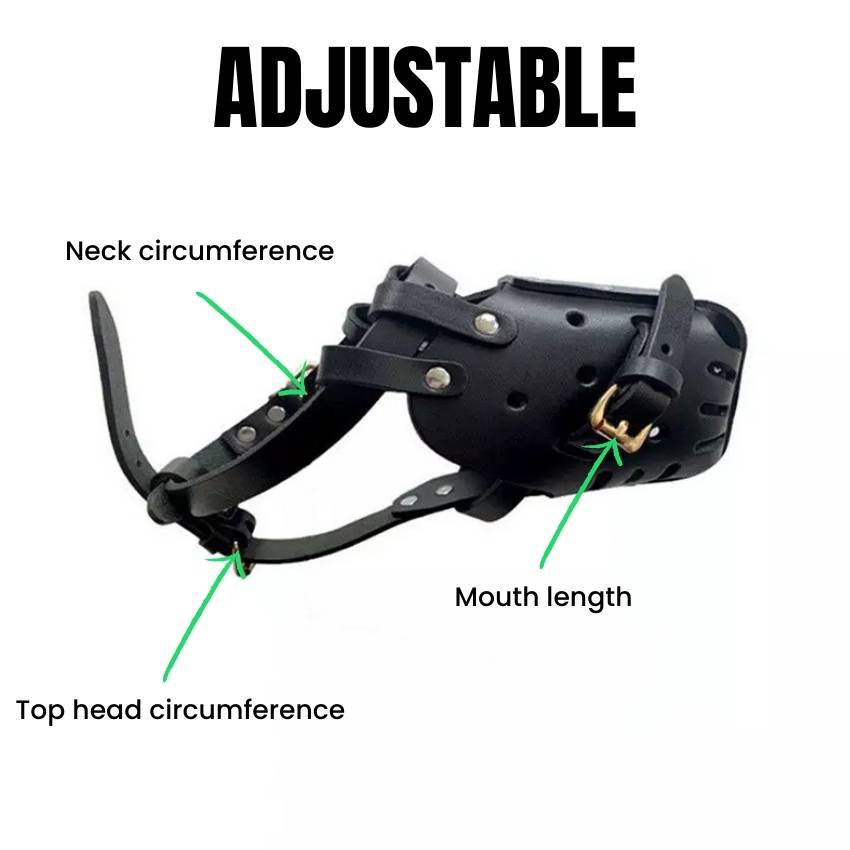 Adjustable German Shepherd leather muzzle