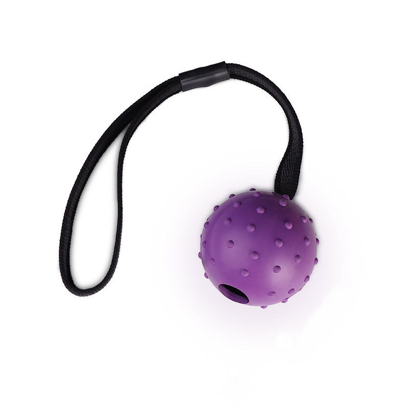 Ballbea® German Shepherd Training ball on rope - purple color