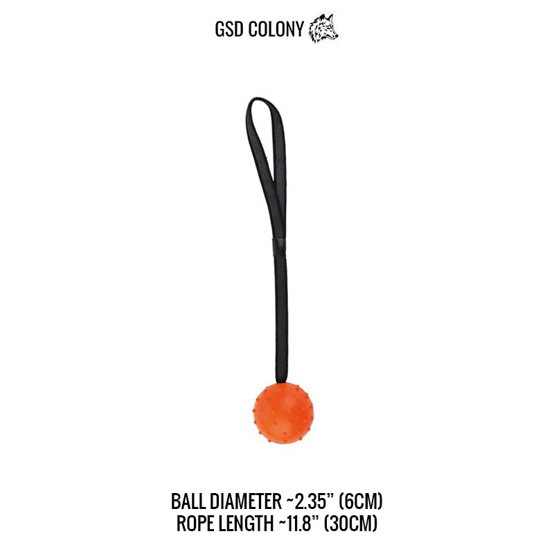 Dimensions of Ballbea® German Shepherd dog training ball on rope
