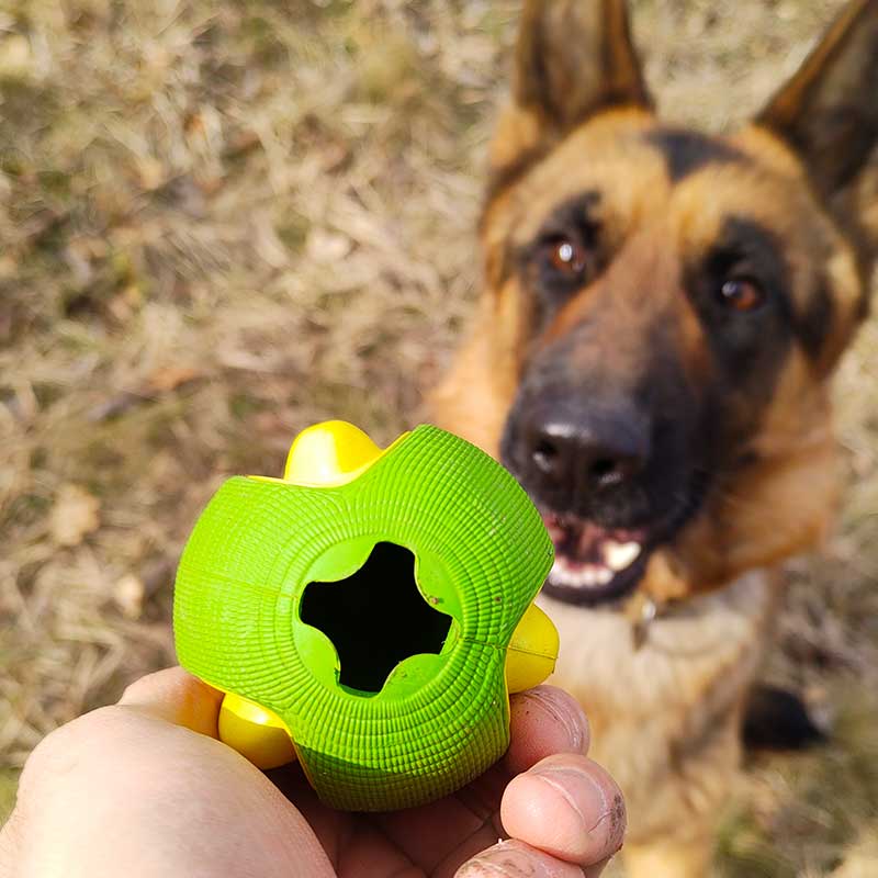 German Shepherd avocado interactive toy - GSD Colony