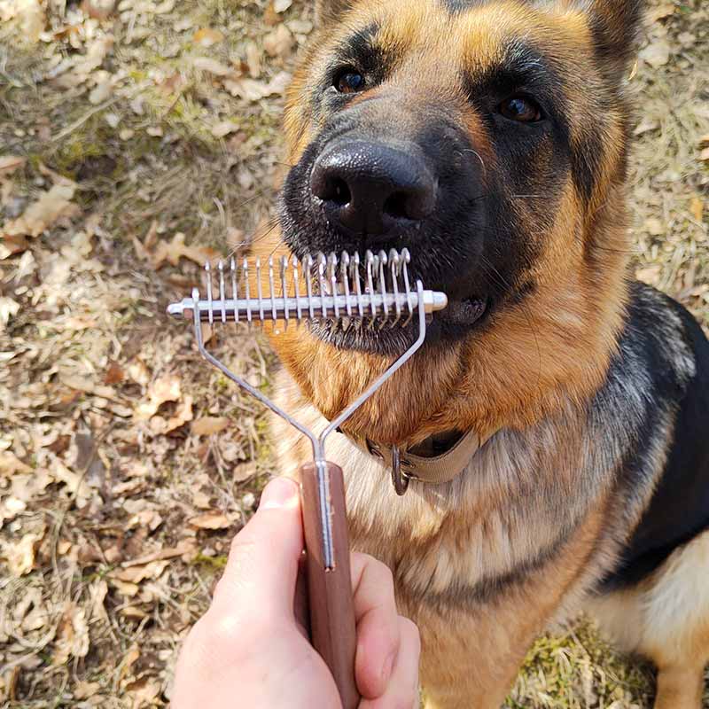 German Shepherd grooming brush double sided, wooden