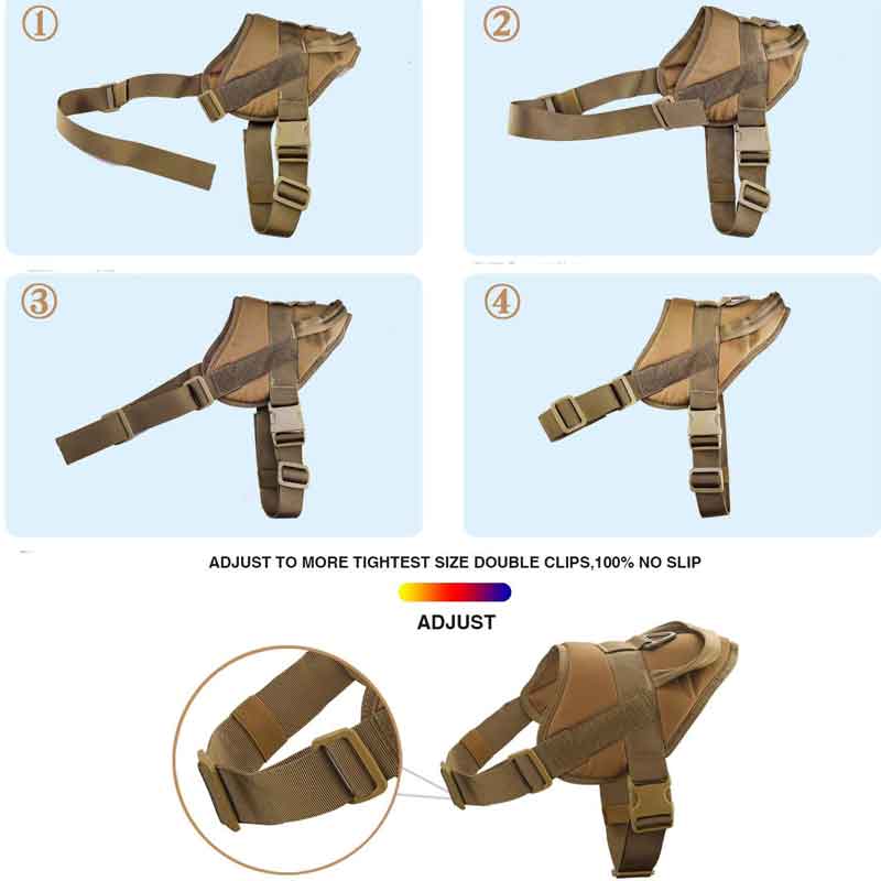 How to Set GSD Colony Tactical German Shepherd Dog No Pull Harness