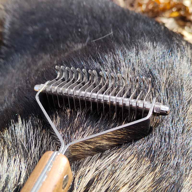 Premium German Shepherd grooming brush - GSD Colony