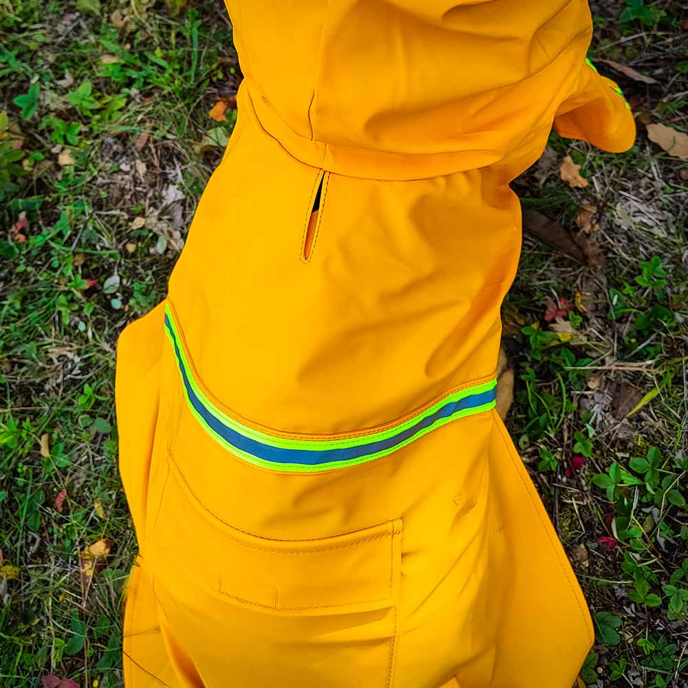 Raincoat for German Shepherds