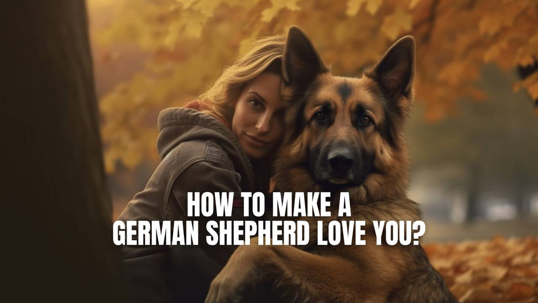 How to Make a German Shepherd Love You?