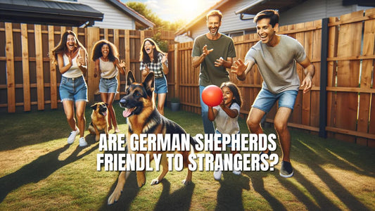 Are German Shepherds Friendly to Strangers?