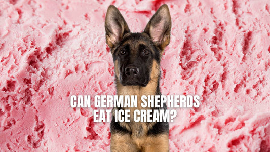 Can German Shepherds eat ice cream?