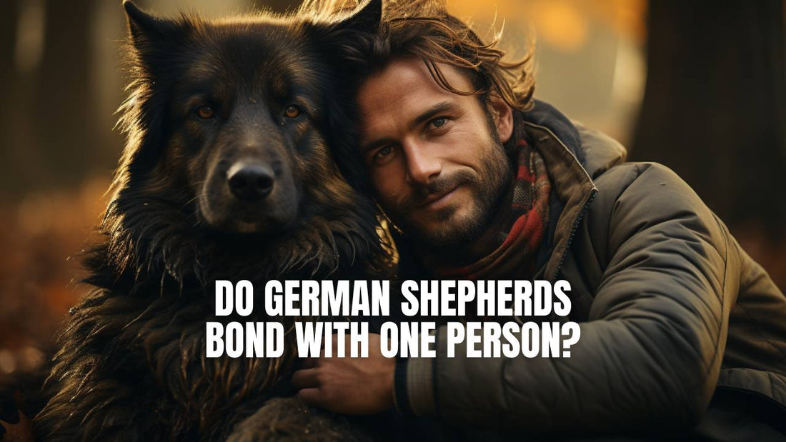 Do German Shepherds bond with one person?