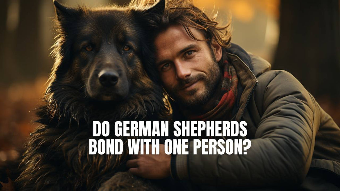 Do German Shepherds Bond With One Person: Uncover the Truth