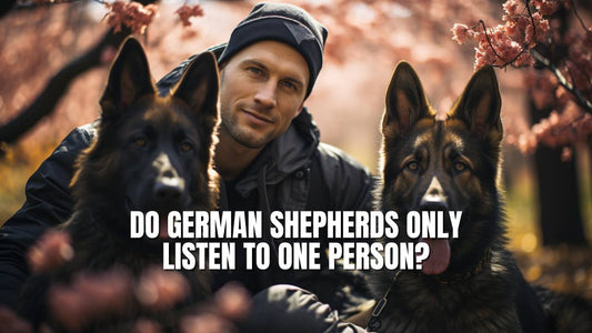 Do German Shepherds only listen to one person?