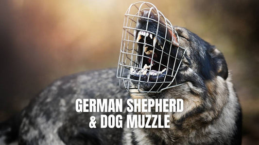 German Shepherd dog and dog muzzles, ultimate guide - GSD Colony