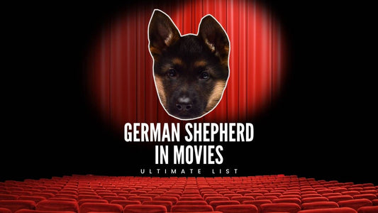 German Shepherd in movies - GSD Colony