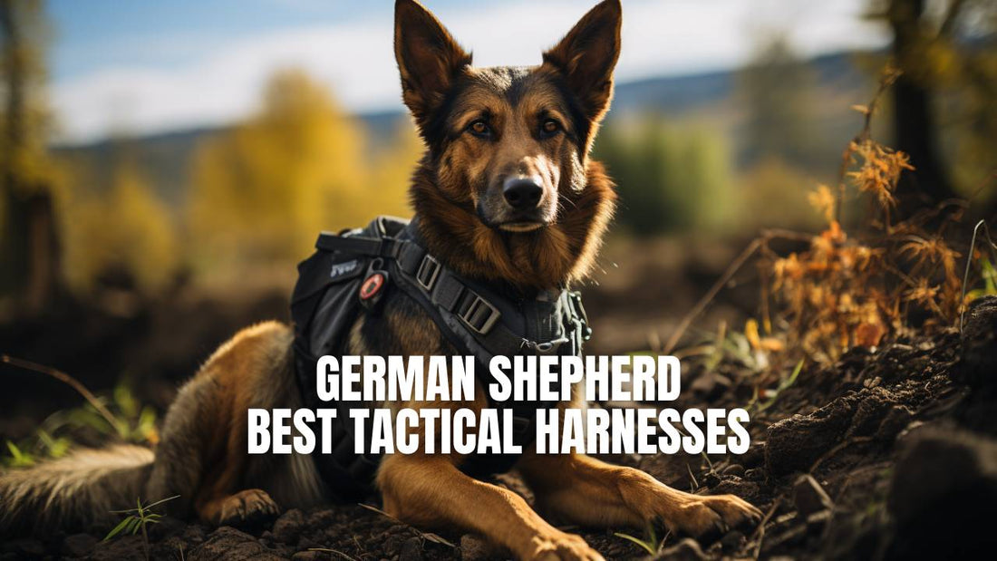 Best German Shepherd tactical harnesses - GSD Colony