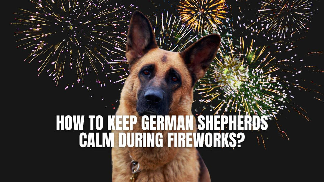 How to keep German Shepherds calm during fireworks?