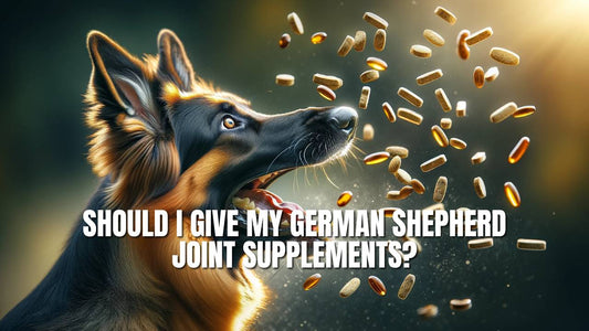 Should I Give My German Shepherd Joint Supplements?