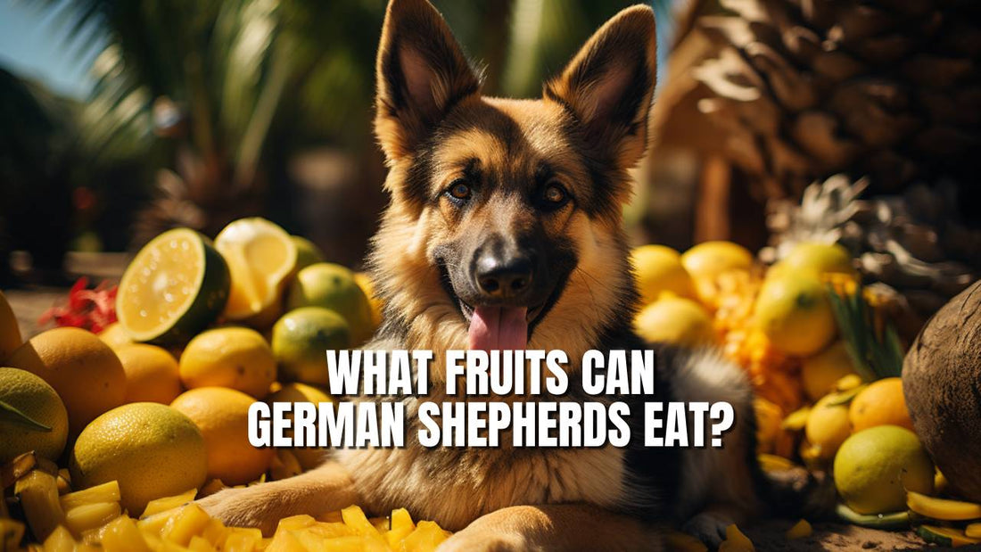 What fruits can German Shepherds eat?