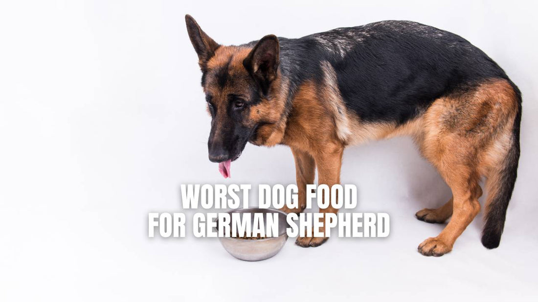 Worst dog food for German Shepherd - Ultimate Guide