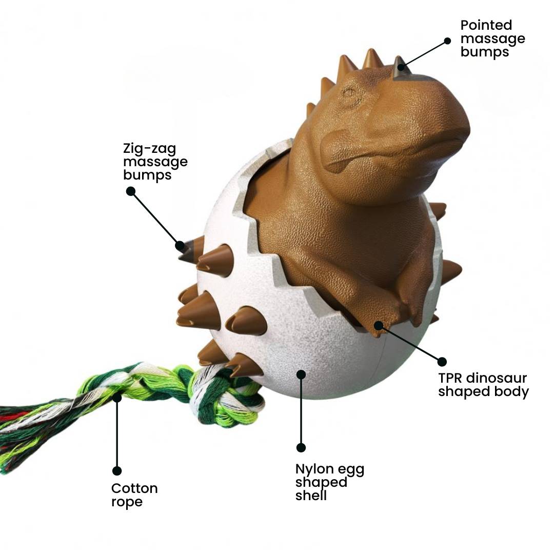 Features of dinosaur chewing dog dental toy