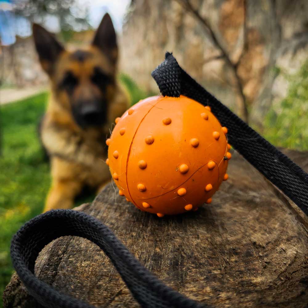 Ballbea® dog training ball on rope 1
