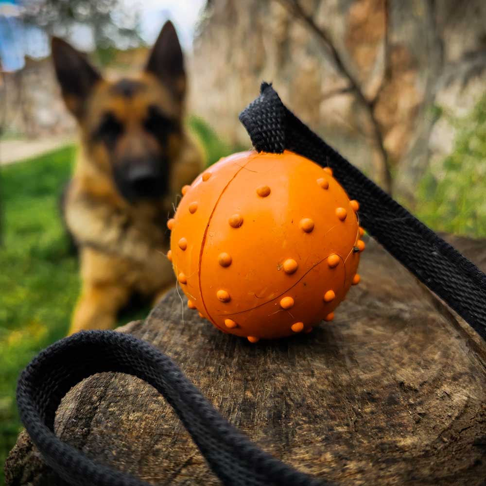 K9 Ball with Rope-Activity Dog Toy