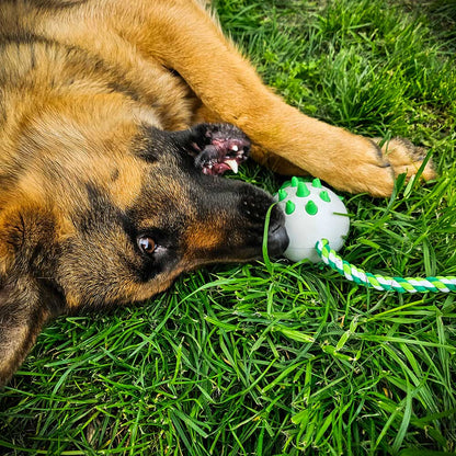 Dinosaur German Shepherd chewing teething dog toy 3