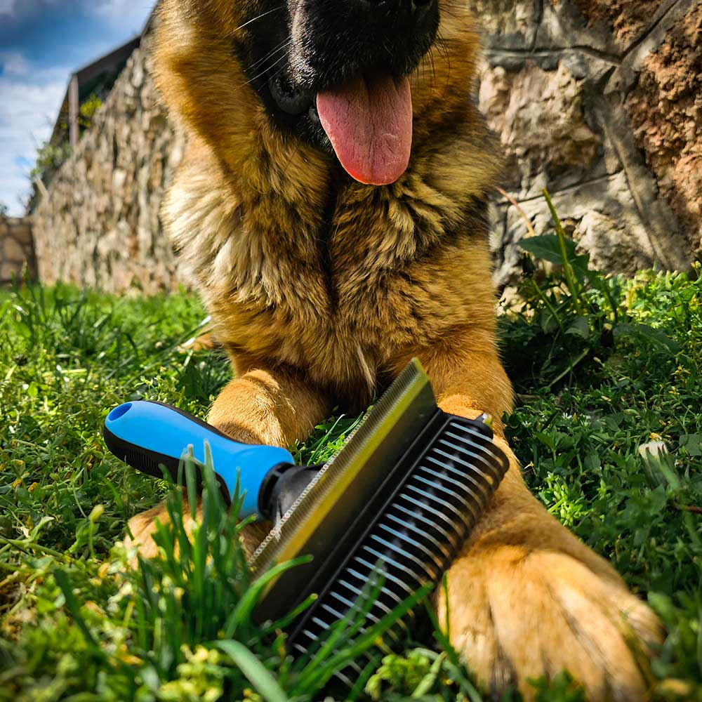 Doublester® German Shepherd 2 in 1 grooming brush 1