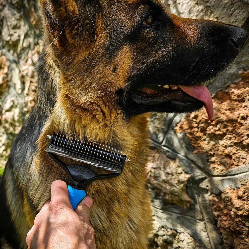 German shepherd clearance shedding brush