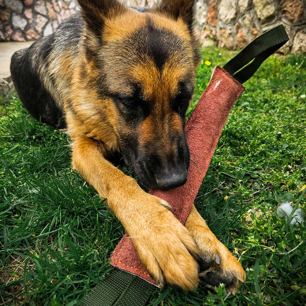 German Shepherd leather bite pillow with two handles 1