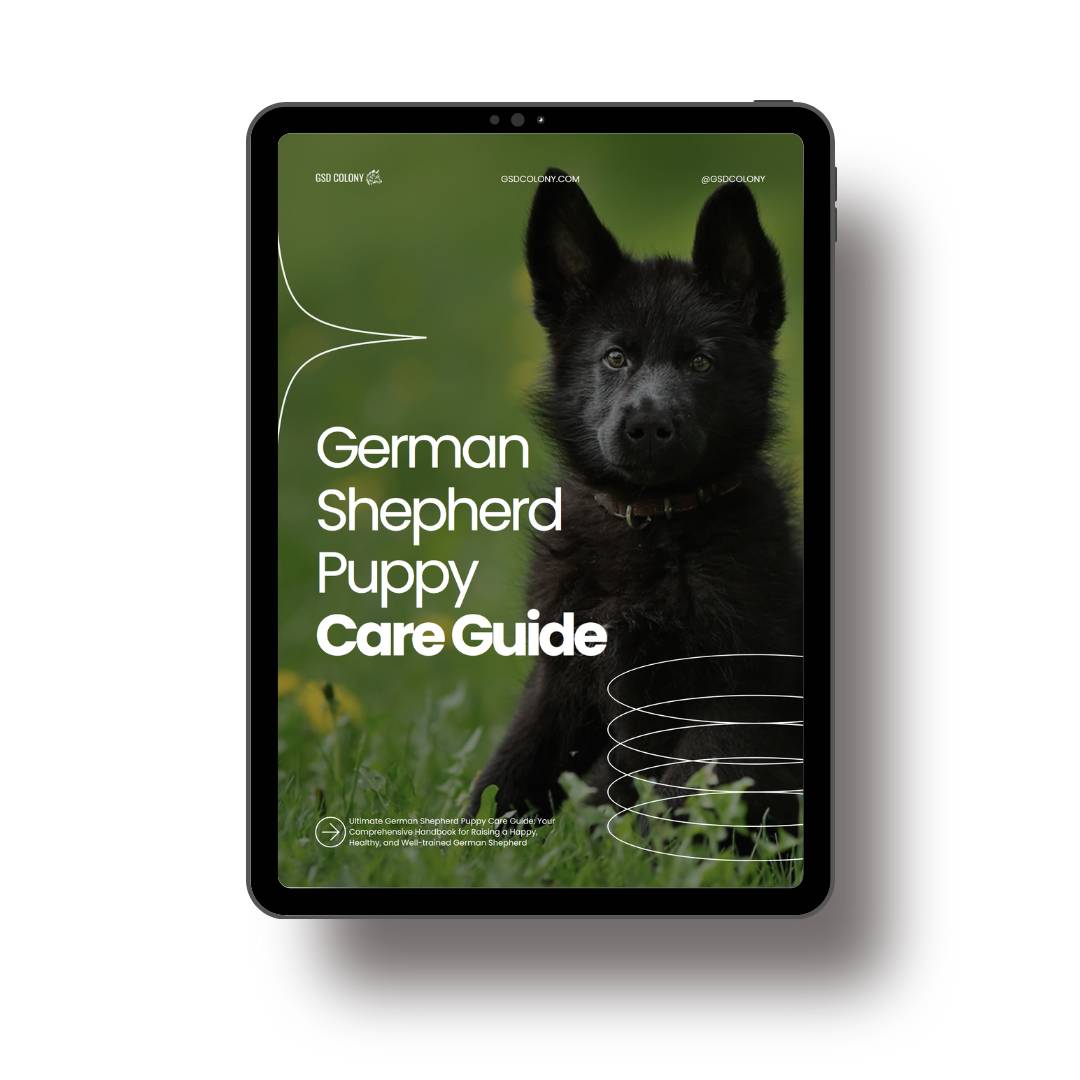 German Shepherd Puppy Care Guide PDF