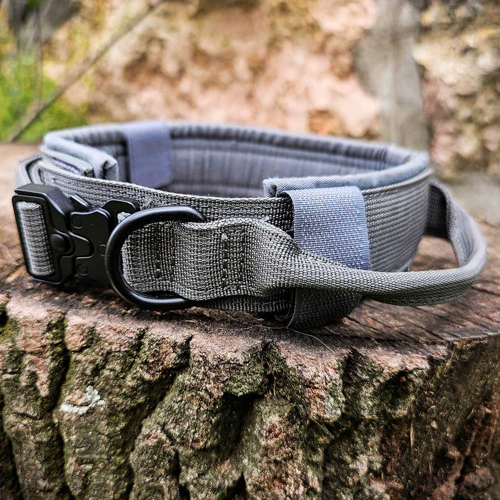 German Shepherd tactical collar leash set 1