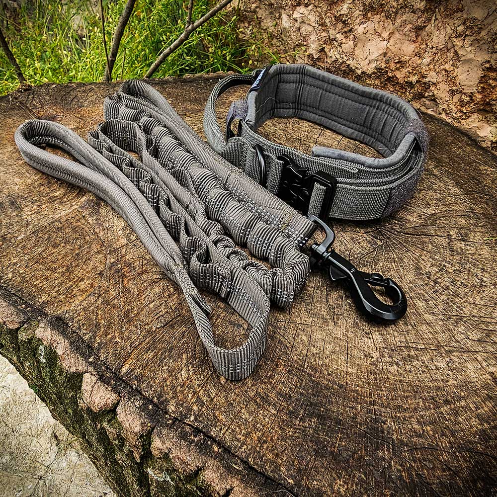 German Shepherd tactical collar leash set 3