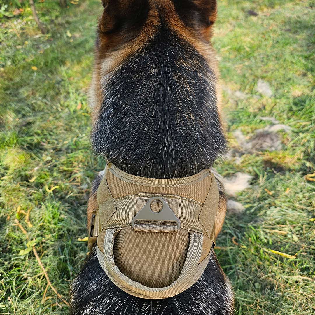 German Shepherd Tactical Harness Lightweight 1