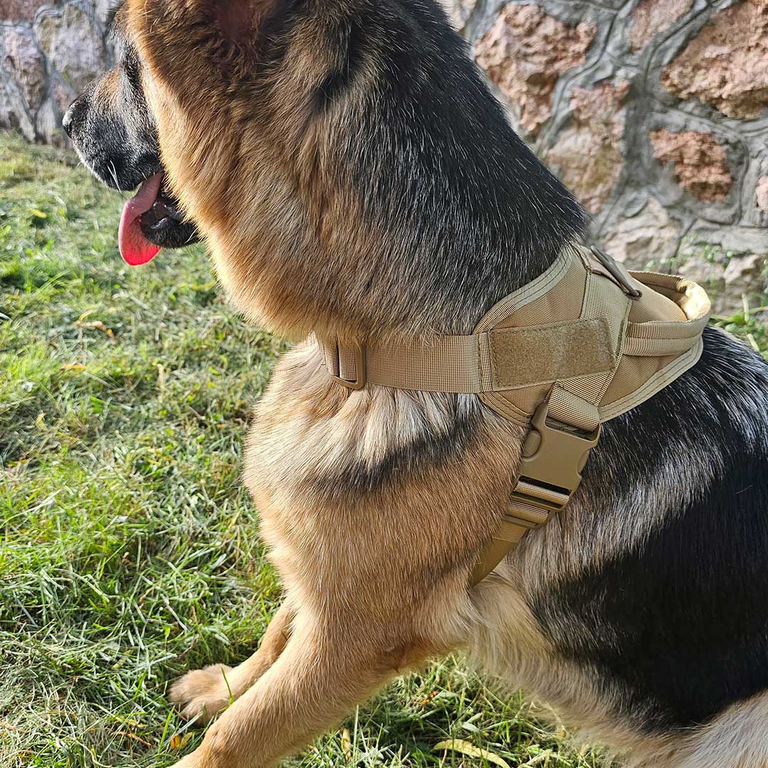 German Shepherd Tactical Harness Lightweight 2