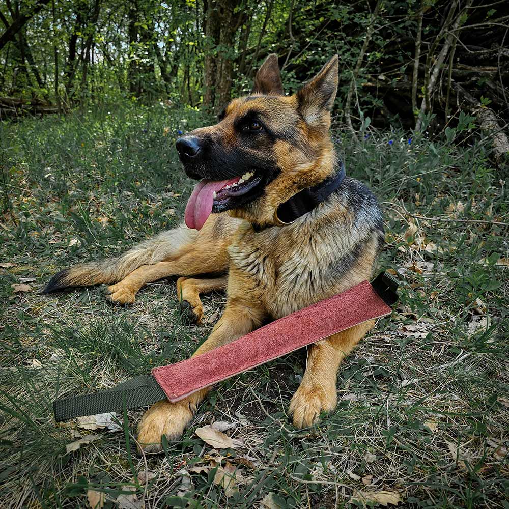 German Shepherd with the training bite cow leather pillow