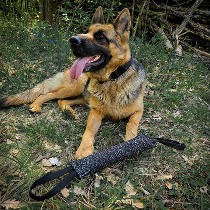 German Shepherd dog and Bite Glee™ training bite pillow