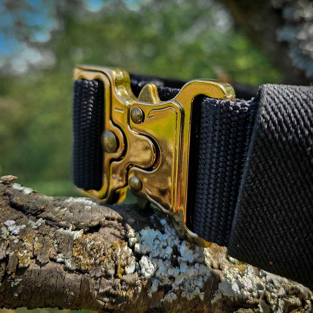 Gold tactical collar for dogs