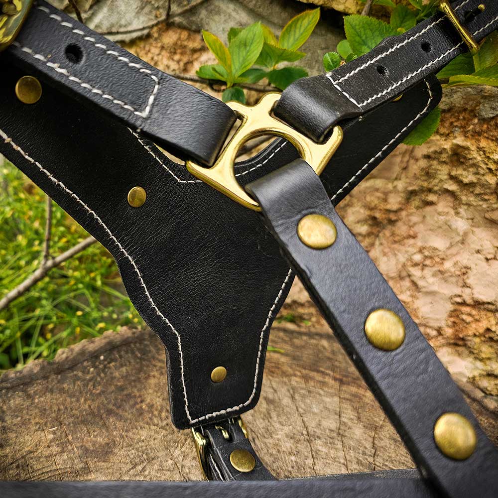 Leatheradil™ German Shepherd leather dog harness 1