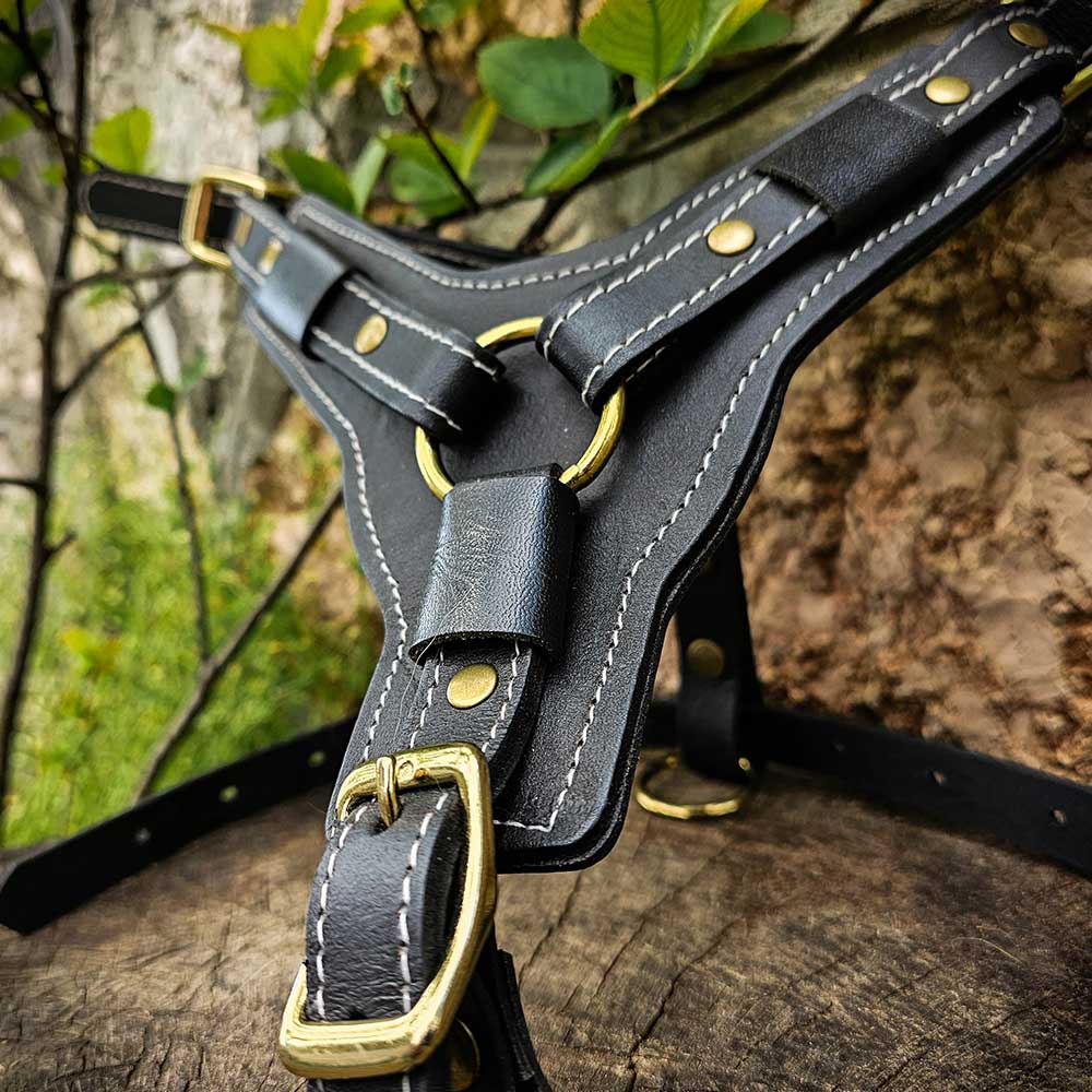 Leatheradil™ German Shepherd leather dog harness 3